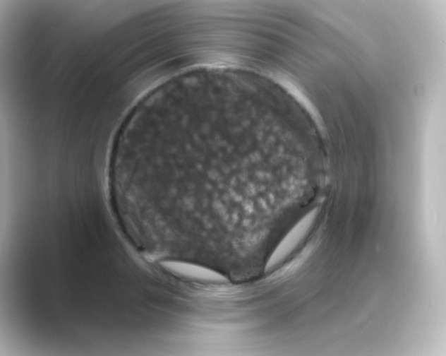 X0000088690845200706211925