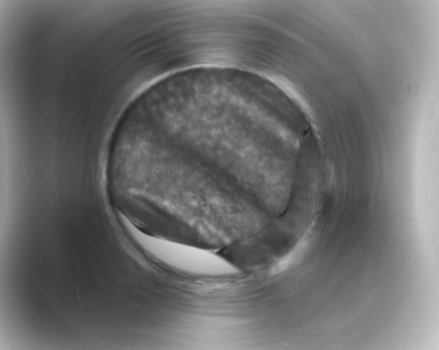 X0000088690846200706211925
