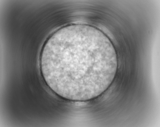 X0000088690848200706211925