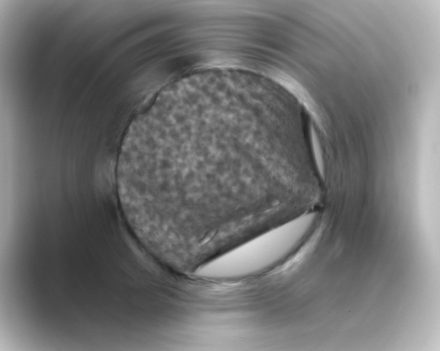 X0000088690849200706211925