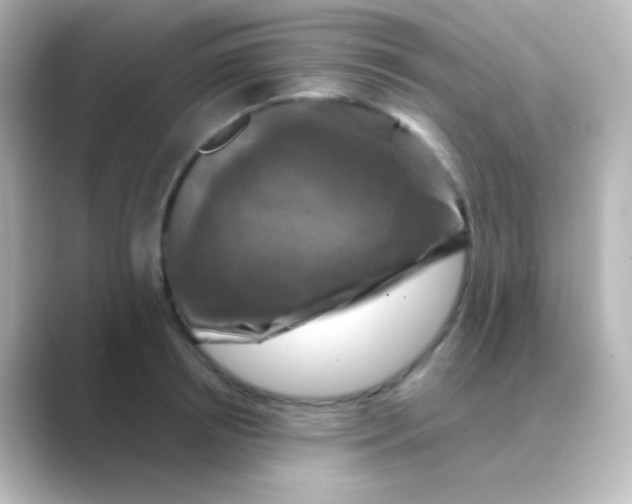 X0000088690850200706211925