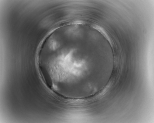 X0000088690851200706211925