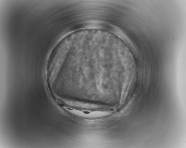 X0000088690852200706211925