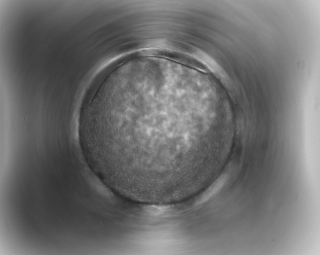 X0000088690854200706211925