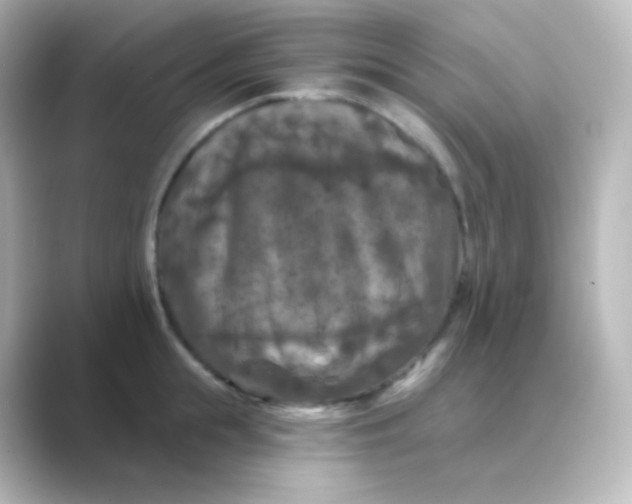 X0000088690855200706211925