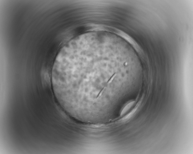X0000088690857200706211925