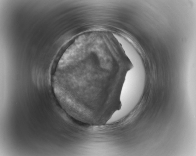 X0000088690858200706211925