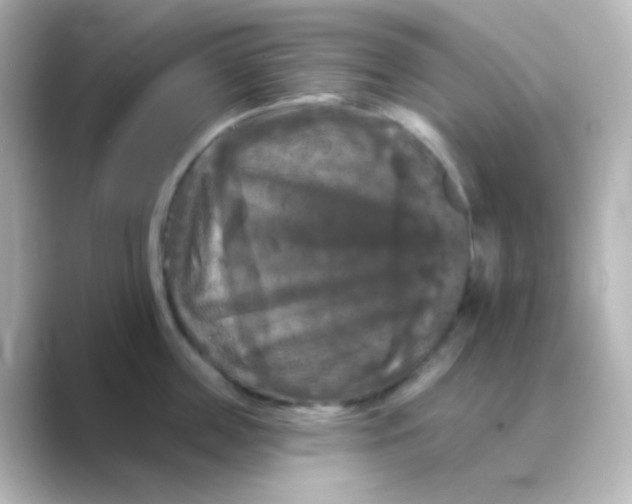 X0000088690859200706211925