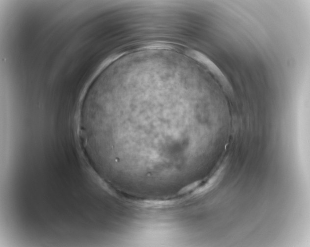 X0000088690860200706211925
