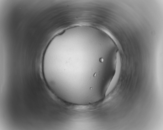X0000088690861200706211925