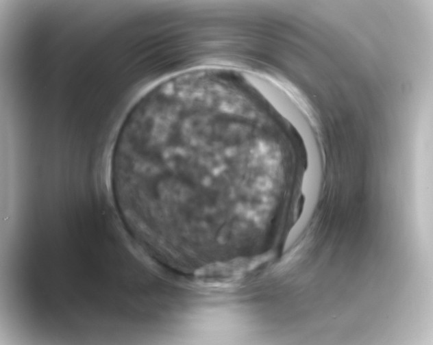 X0000088690862200706211925
