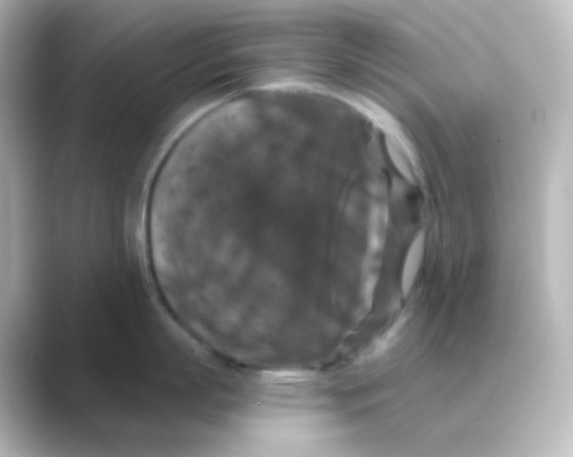 X0000088690863200706211925
