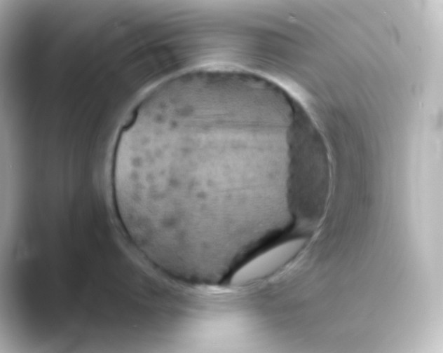 X0000088690864200706211925