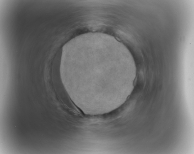 X0000088690865200706211925