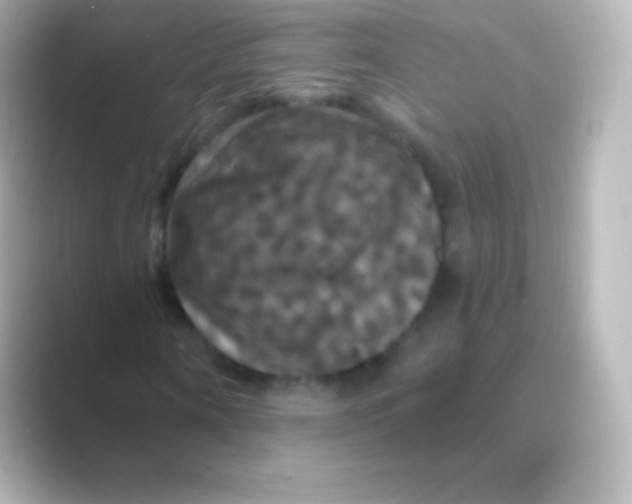 X0000088690866200706211925