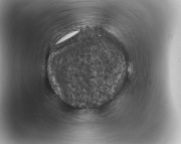 X0000088690867200706211925