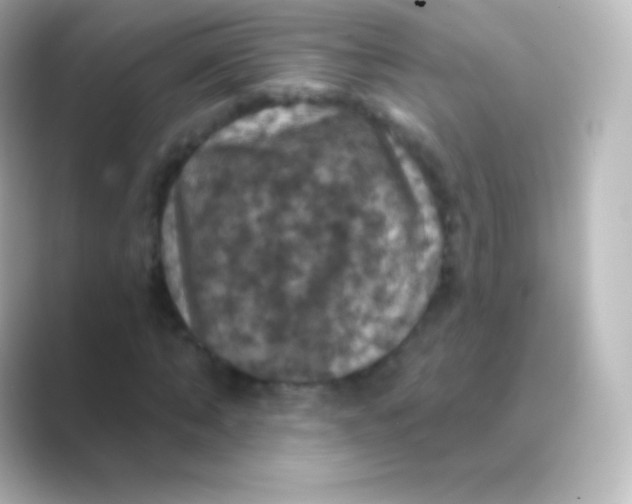 X0000088690870200706211925