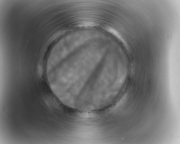 X0000088690874200706211925