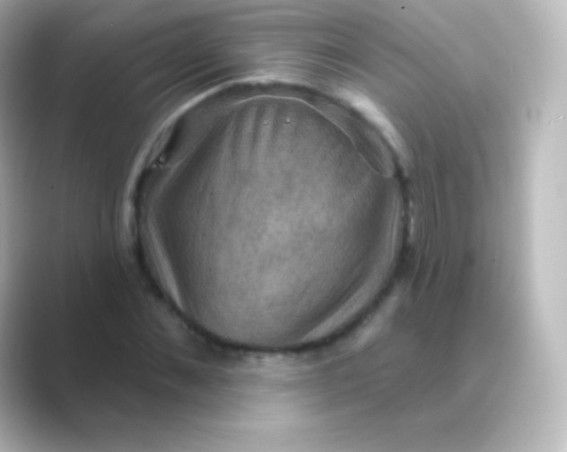 X0000088690876200706211925