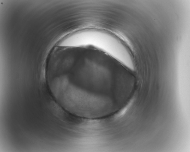 X0000088690877200706211925