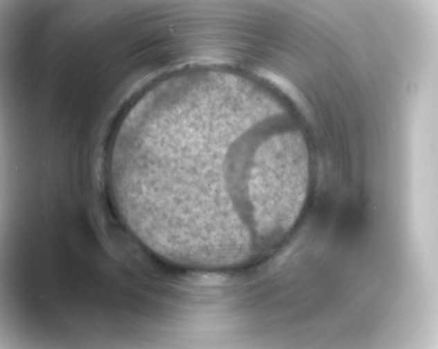 X0000088690878200706211925