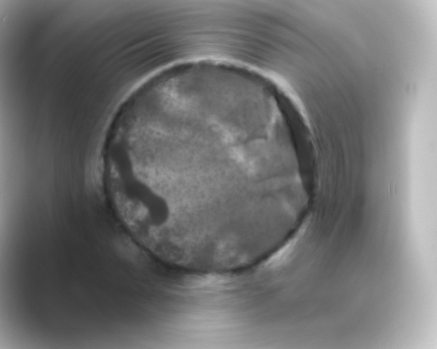 X0000088690879200706211925