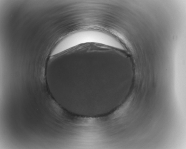 X0000088690881200706211925