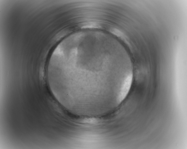X0000088690882200706211925