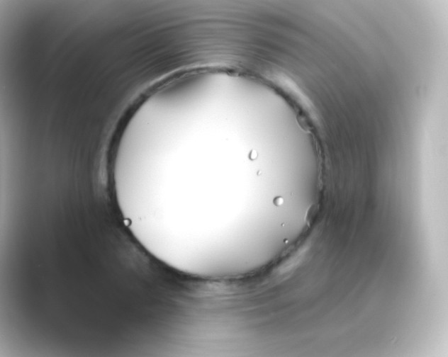 X0000088690883200706211925