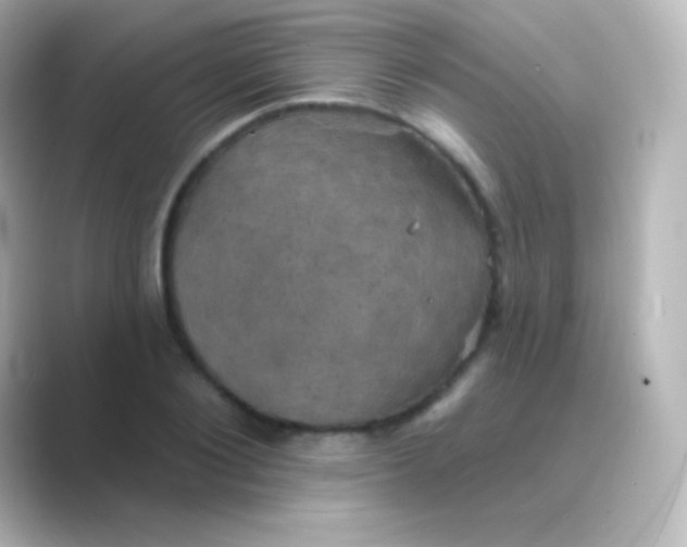 X0000088690884200706211925