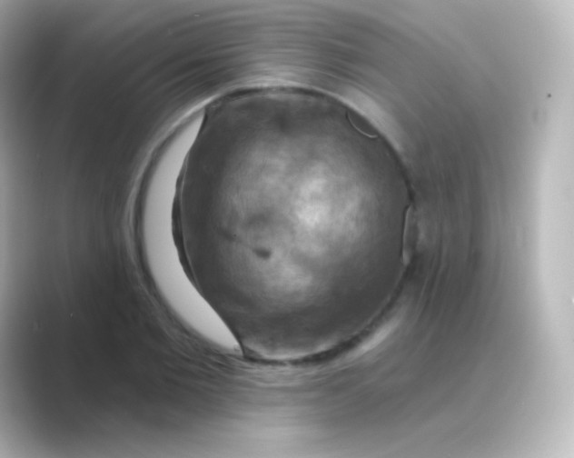 X0000088690885200706211925