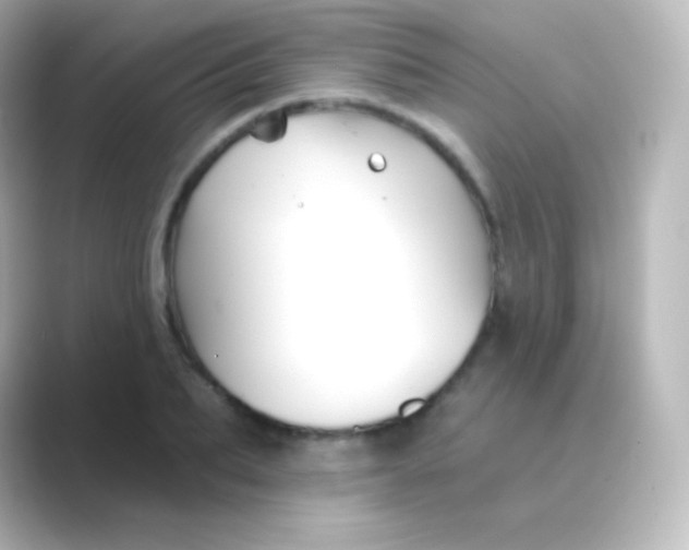 X0000088690887200706211925