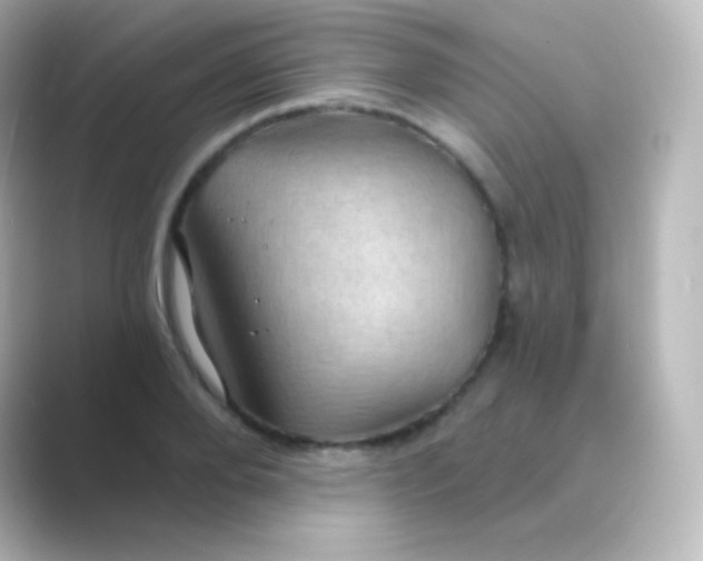 X0000088690888200706211925