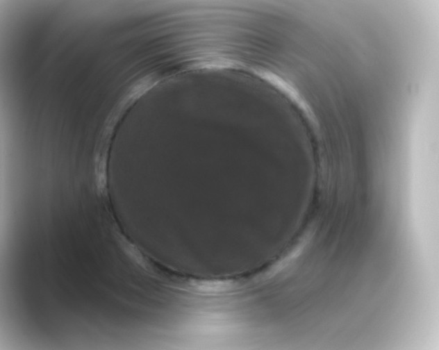 X0000088690889200706211925
