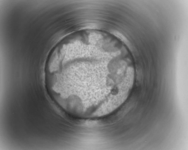 X0000088690890200706211925