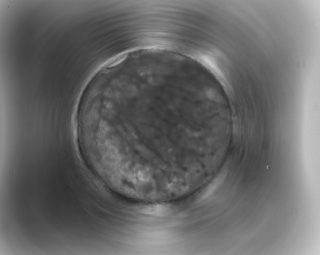 X0000088690891200706211925