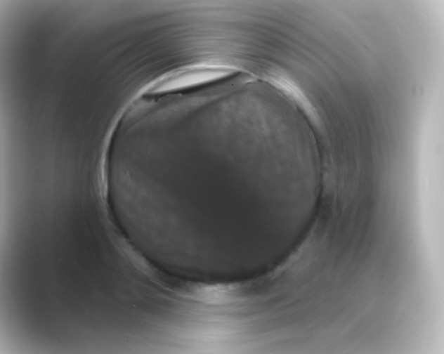 X0000088690892200706211925