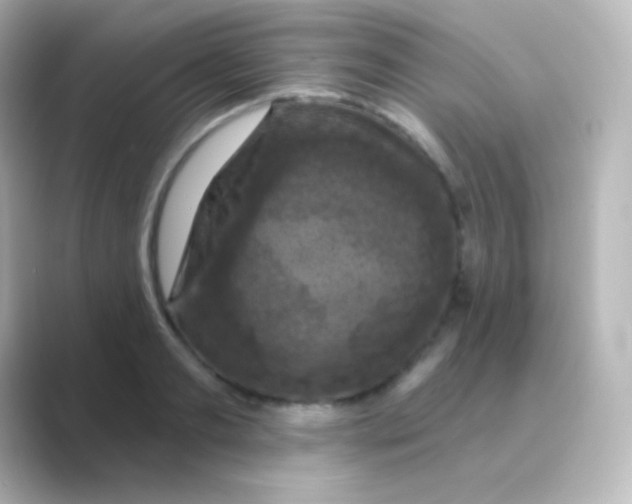 X0000088690893200706211925