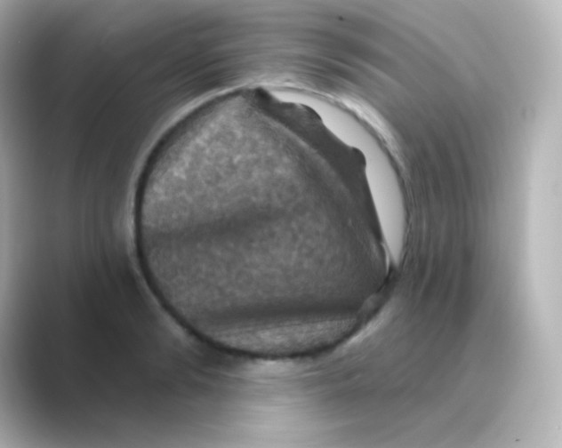 X0000088690894200706211925