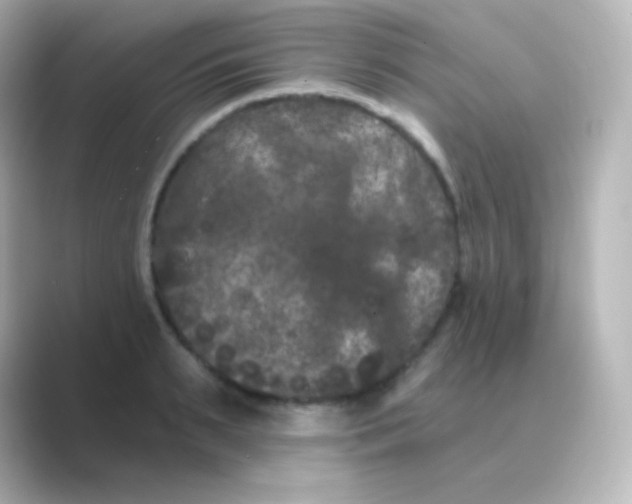 X0000088690895200706211925