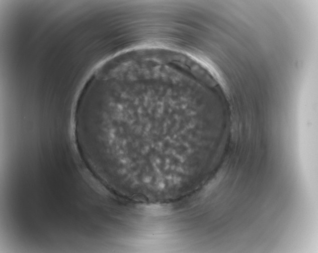 X0000088690896200706211925
