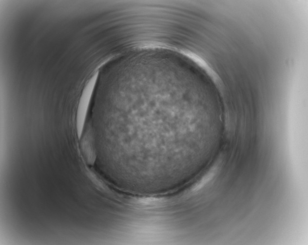 X0000088690897200706211925