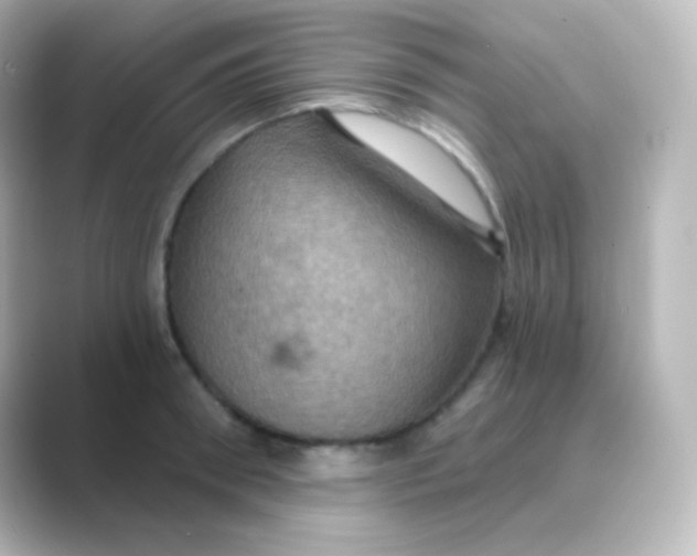 X0000088690898200706211924