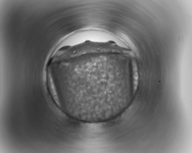 X0000088690900200706211924