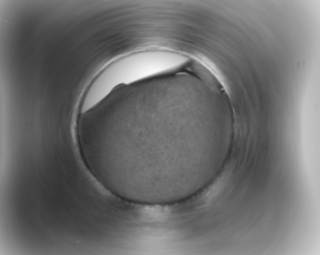 X0000088690901200706211924