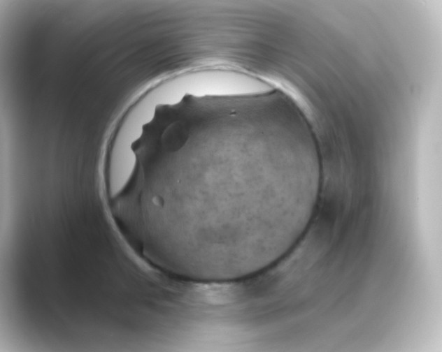 X0000088690902200706211924