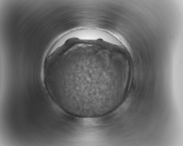 X0000088690904200706211924