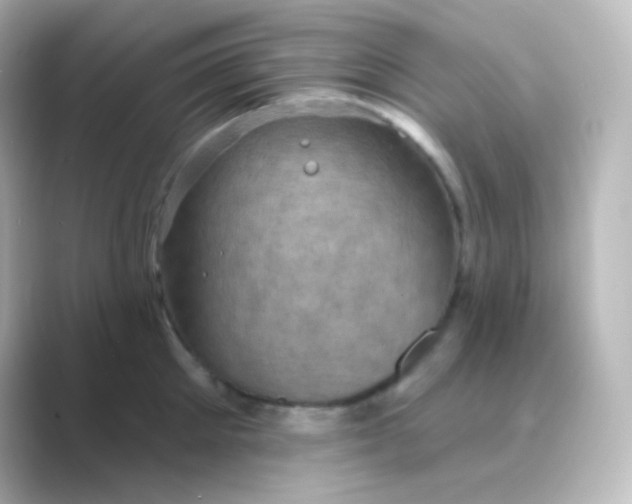 X0000088690905200706211924
