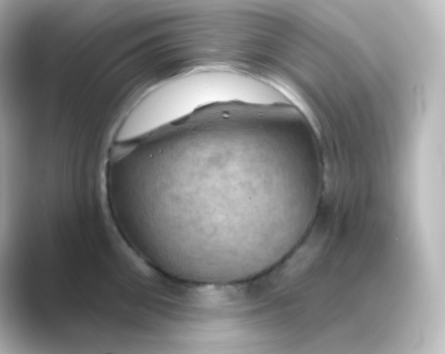 X0000088690906200706211924