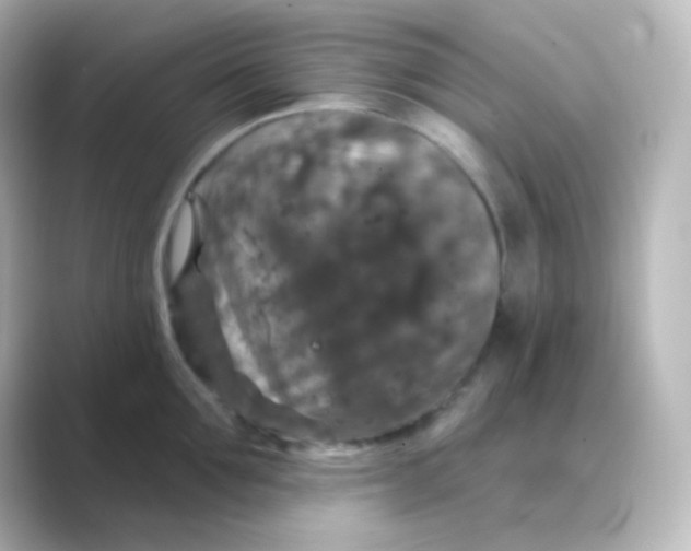 X0000088690907200706211924